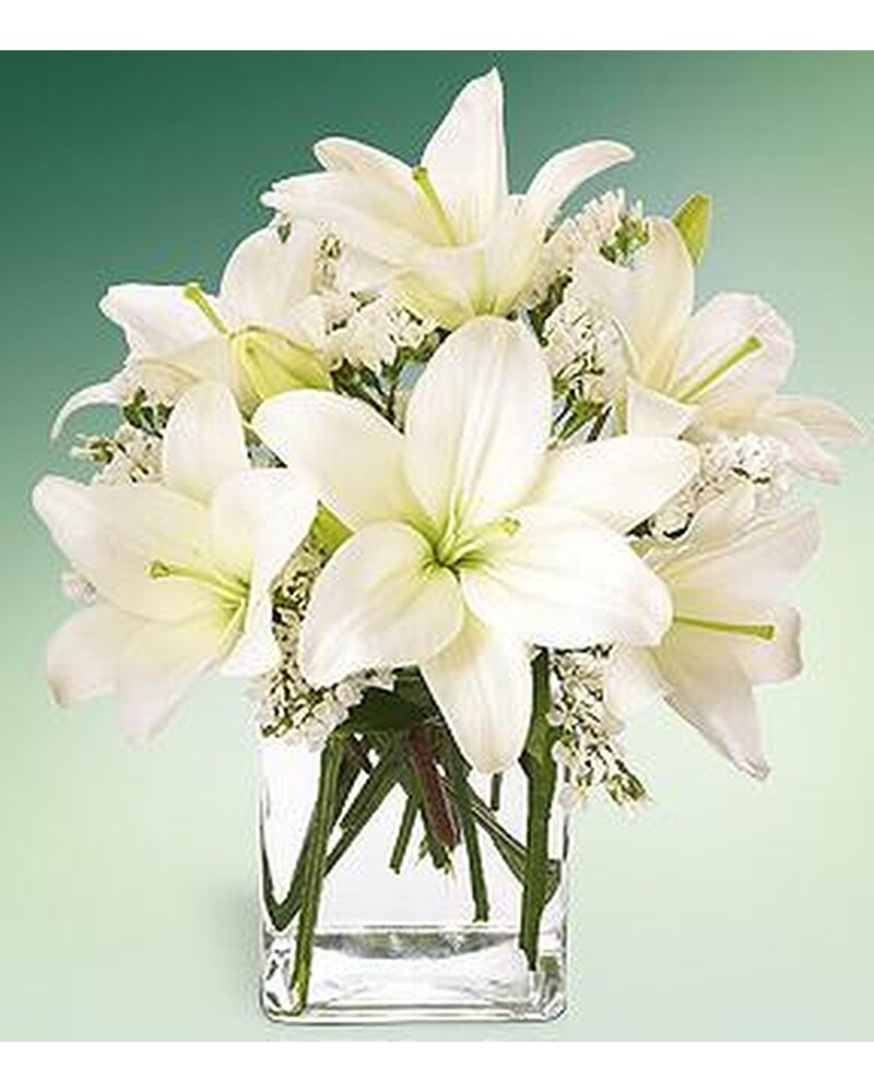 Signature SELECT Oriental Lilies 2 Stem White - Each - jewelosco